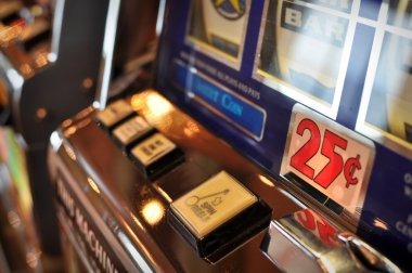 337sport home Bingo